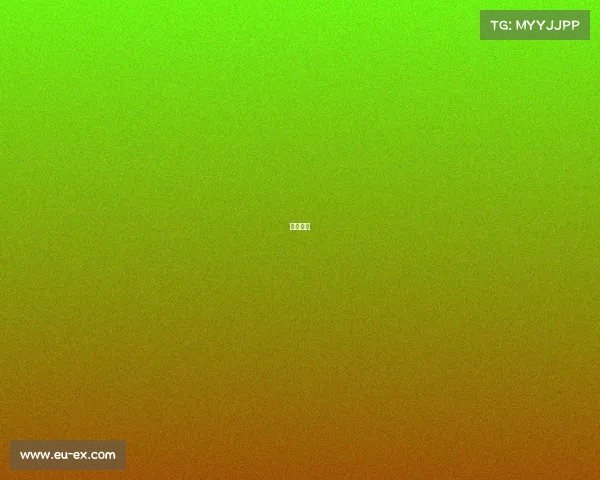 嘻哈大赛 嘻哈大赛